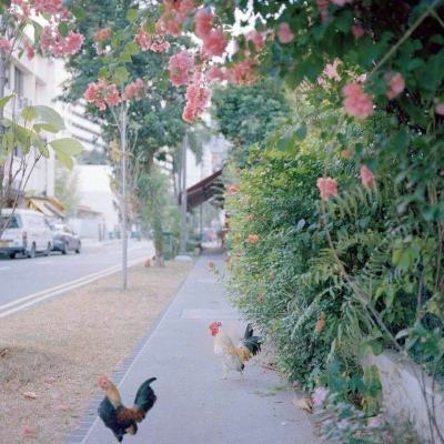 威斯尼斯人wns8888